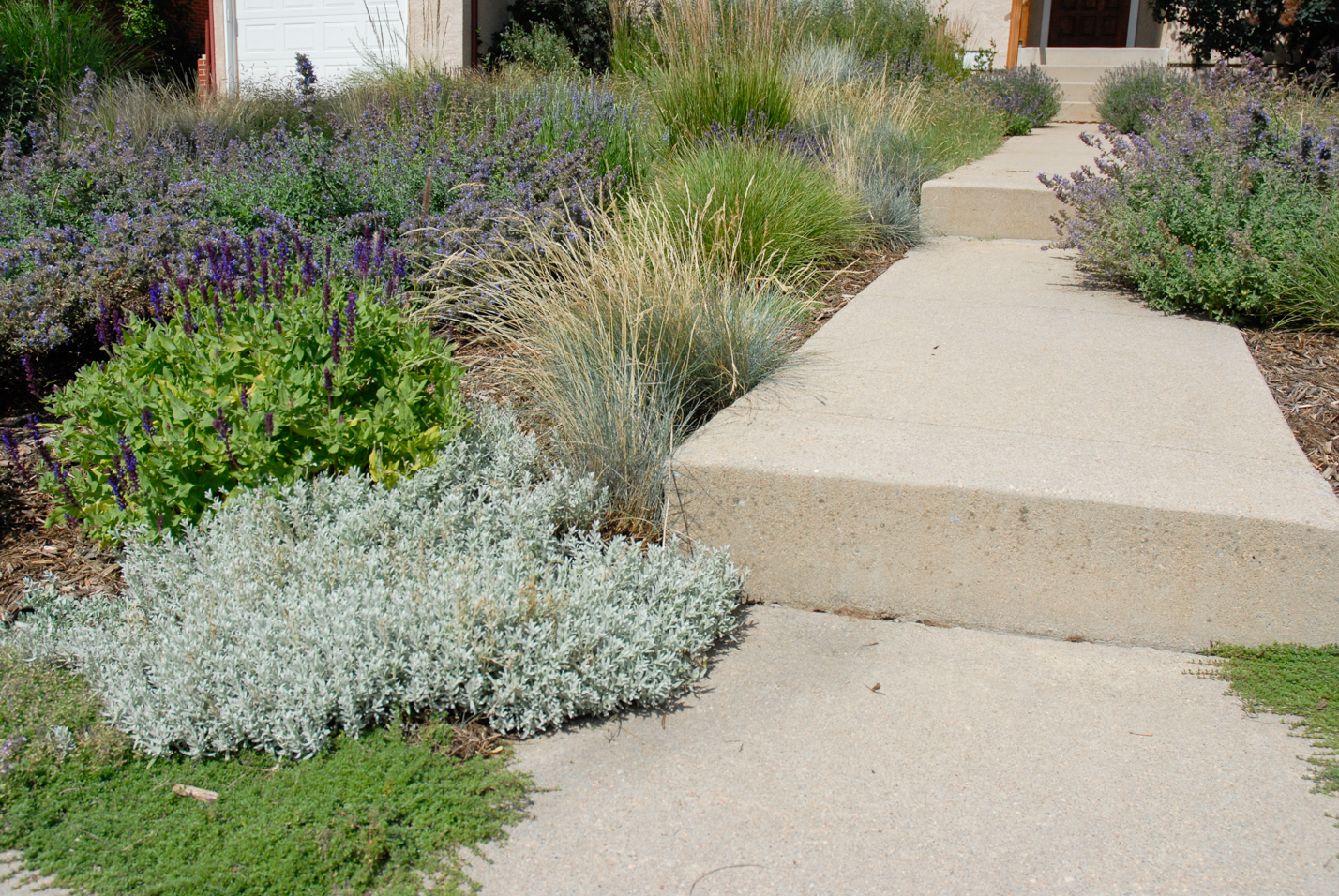 Southwest Spin Xeriscape